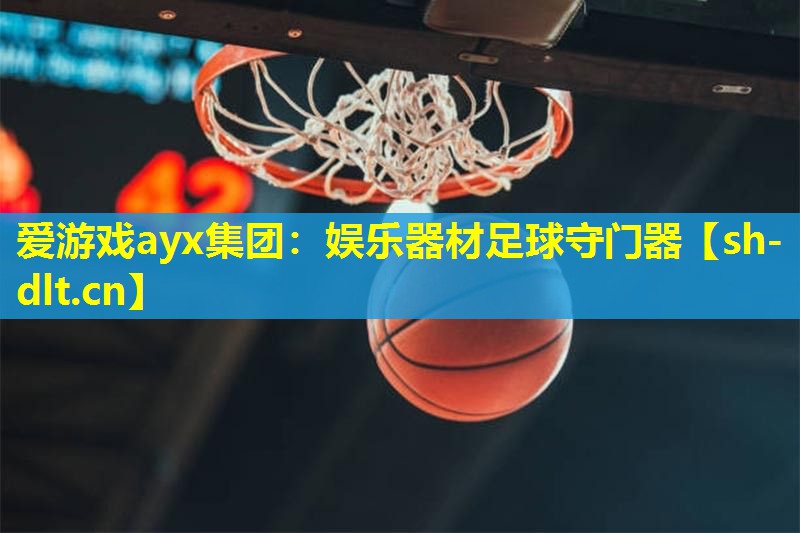 爱游戏ayx集团：娱乐器材足球守门器