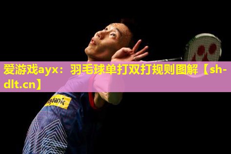 爱游戏ayx：羽毛球单打双打规则图解