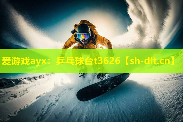 爱游戏ayx：乒乓球台t3626