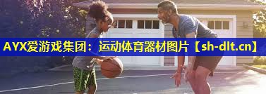 AYX爱游戏集团：运动体育器材图片