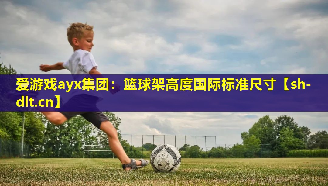 爱游戏ayx集团：篮球架高度国际标准尺寸