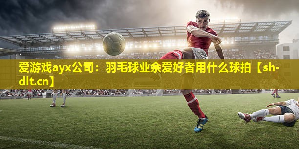 爱游戏ayx公司：羽毛球业余爱好者用什么球拍