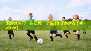 爱游戏公司：自己做一个篮球架子多少钱