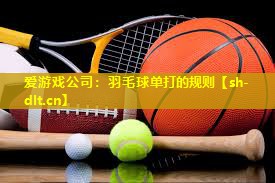 羽毛球单打的规则 羽毛球单打的规则