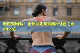 正规羽毛球拍的尺寸图 正规羽毛球拍的尺寸图