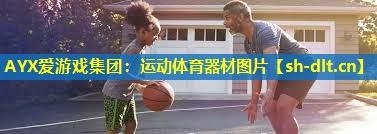 运动体育器材图片 运动体育器材图片