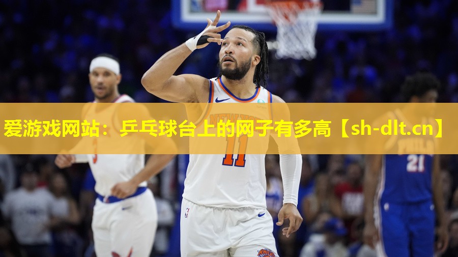乒乓球台上的网子有多高 乒乓球台上的网子有多高