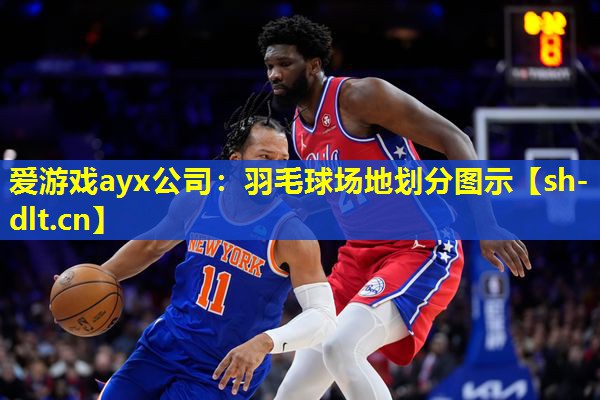 羽毛球场地划分图示 羽毛球场地划分图示