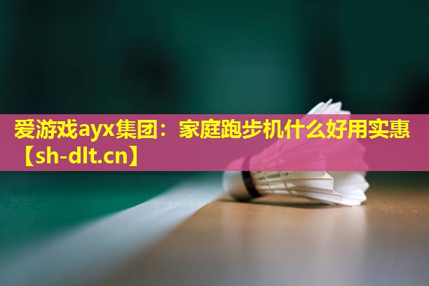 家庭跑步机什么好用实惠 家庭跑步机什么好用实惠