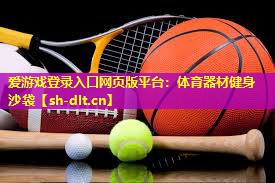 体育器材健身沙袋 体育器材健身沙袋