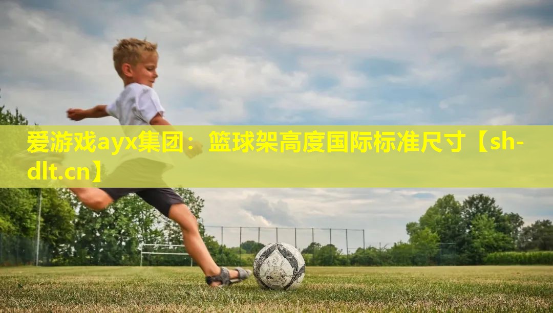 篮球架高度国际标准尺寸 篮球架高度国际标准尺寸