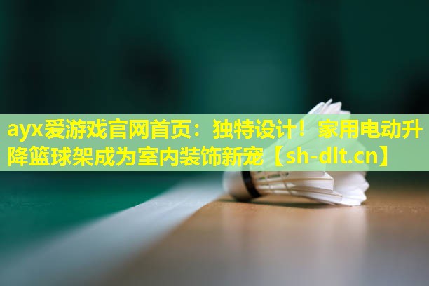独特设计!家用电动升降篮球架成为室内装饰新宠 独特设计!家用电动升降篮球架成为室内装饰新宠